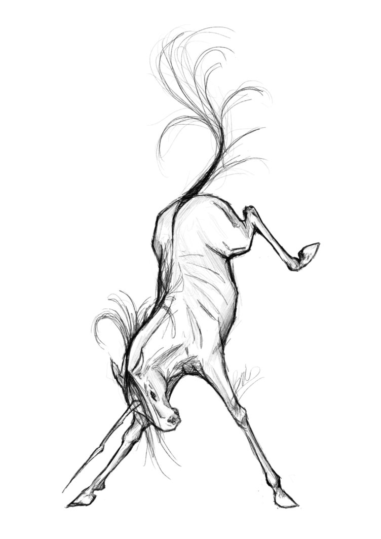 752x1063 Thedeadhorselord (Brianna)