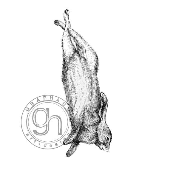 570x570 Cadaver Art Dead Rabbit Animal Bunny Minimalist