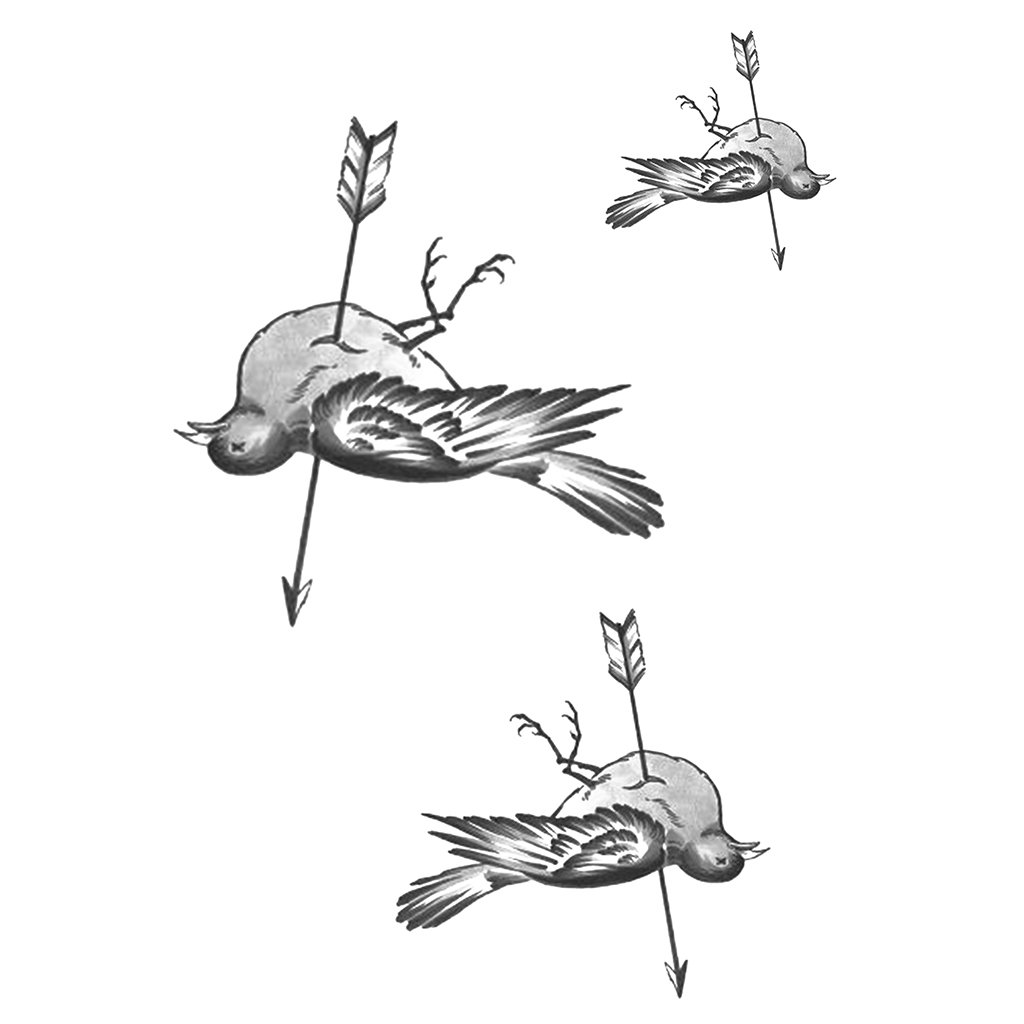 1024x1024 Dead Bird Illustration