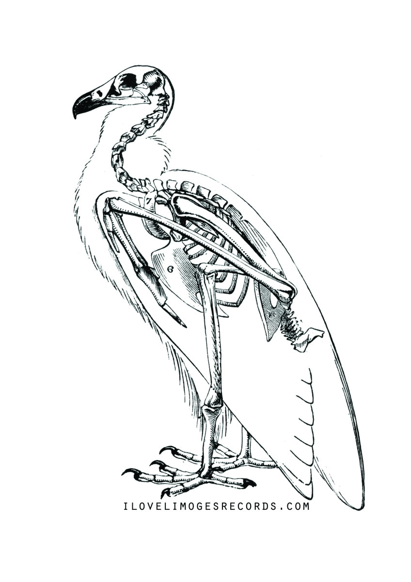 848x1200 Dead For Nothing