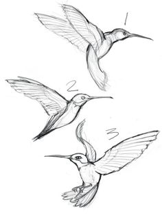 236x314 How To Draw A Bird Step By Step Easy With Pictures Bird