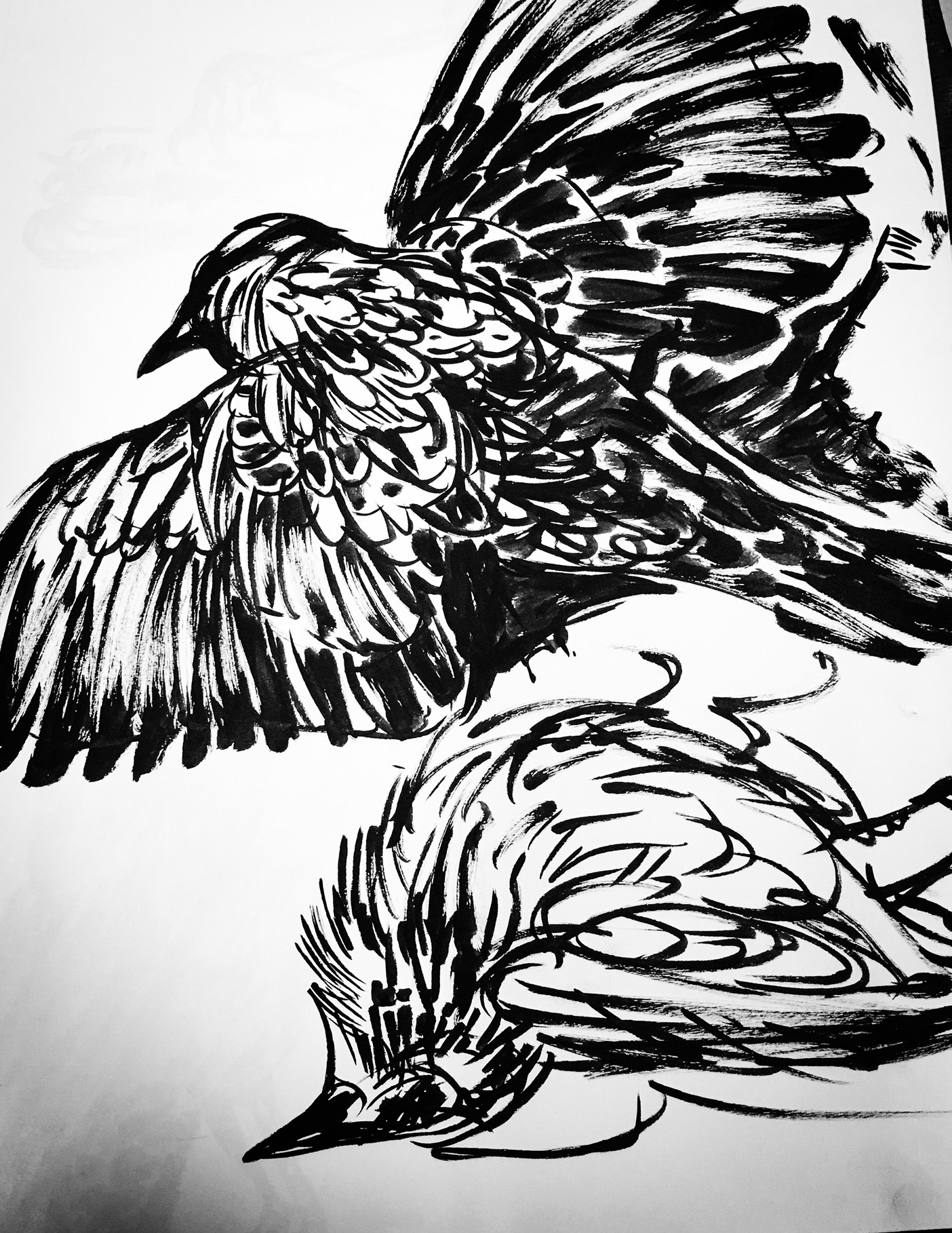 1404x1818 Mary Catherine Wilbur