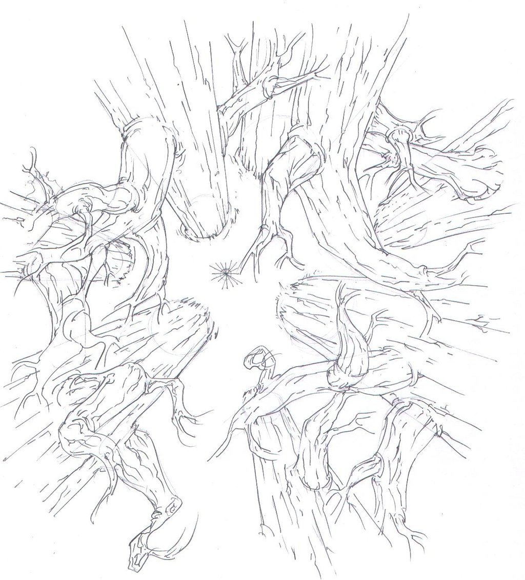 1024x1131 Birds Eye Dead Forest Trees! By Protossrules