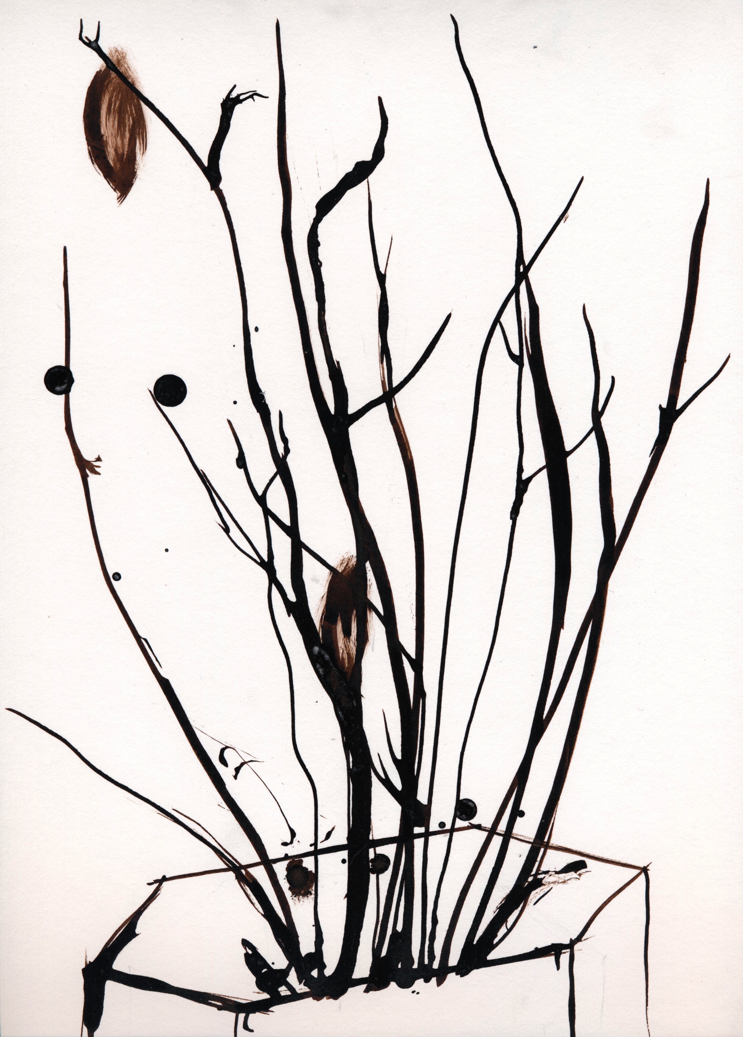 2427x3390 Dead Plant