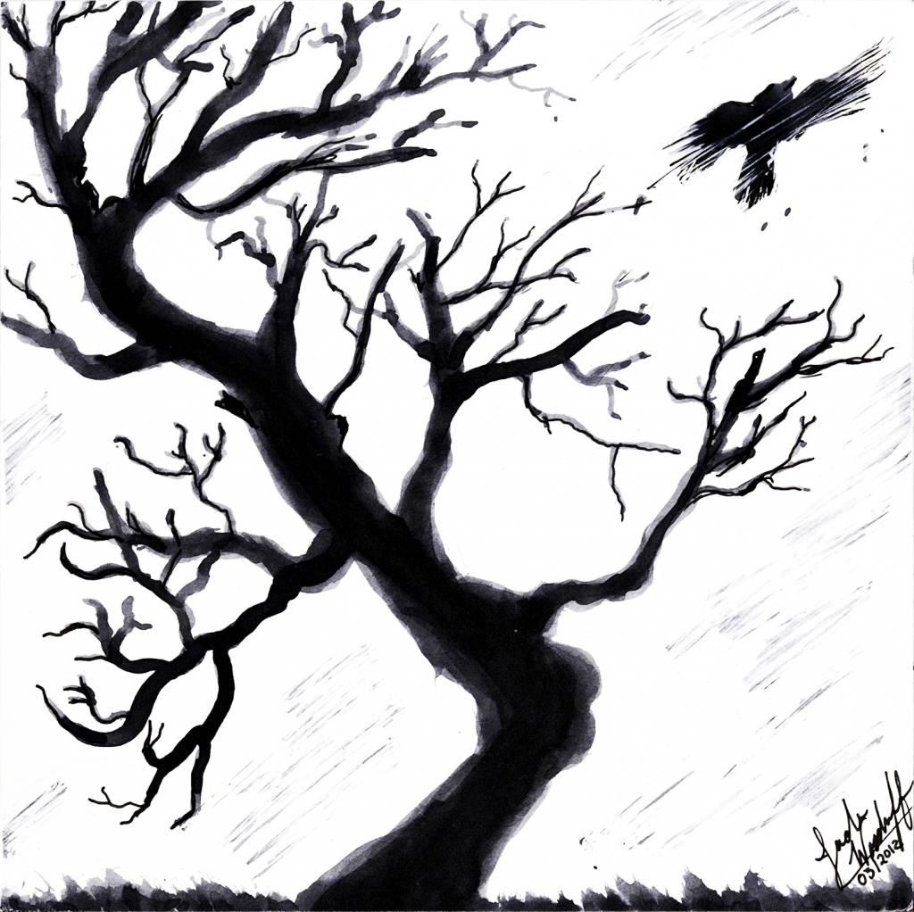 1024x1022 Dead Tree Drawing Dead Tree Drawings Related Keywords Amp