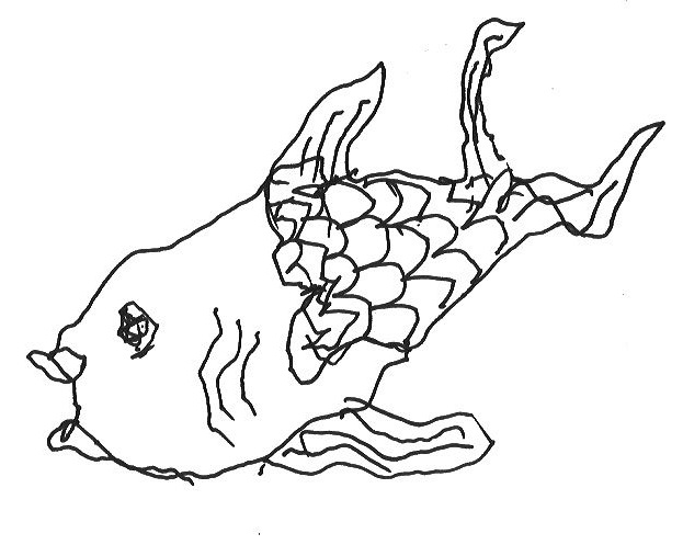 623x497 Dead Fish Collective Everything We Make Stinks