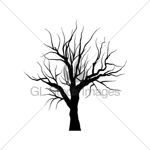500x500 Sketch Of Dead Tree Without Leaves , Isolated On White Ba Gl