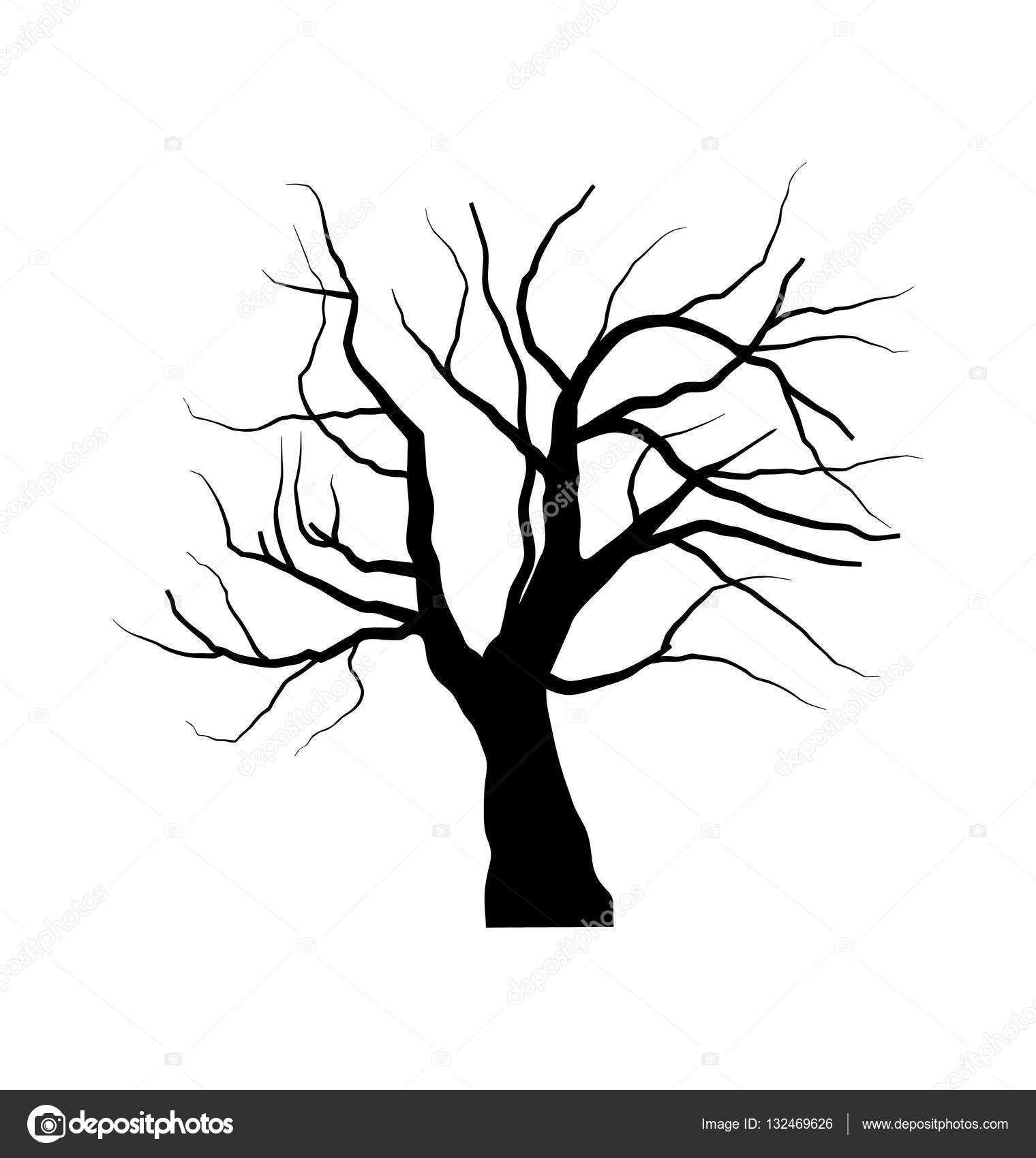 1520x1700 Sketch Of Dead Tree Without Leaves , Isolated On White Backgroun