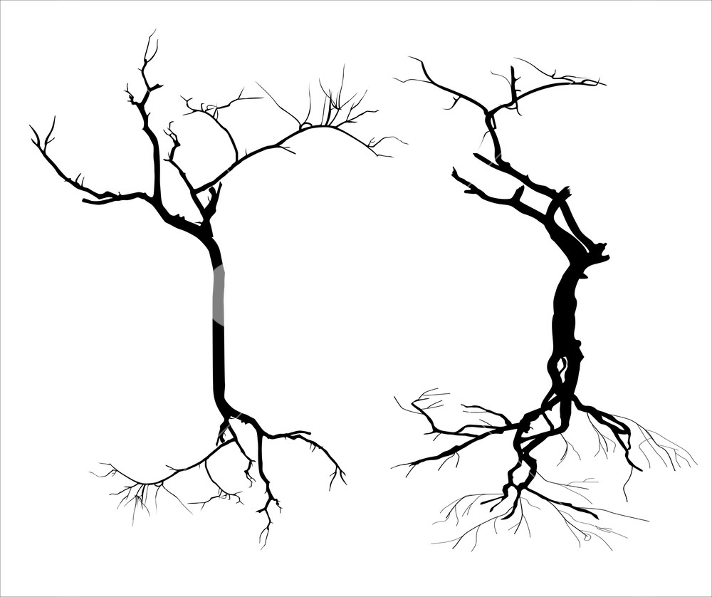 1000x838 Dead Tree Branches Drawing Royalty Free Stock Image