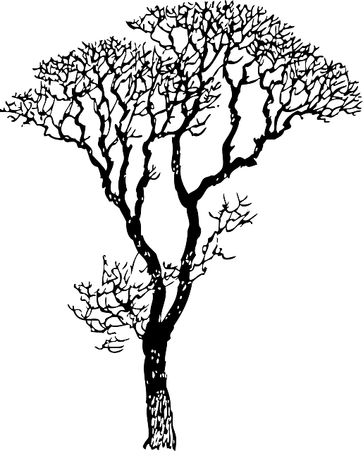 515x640 Free Pictures Oak