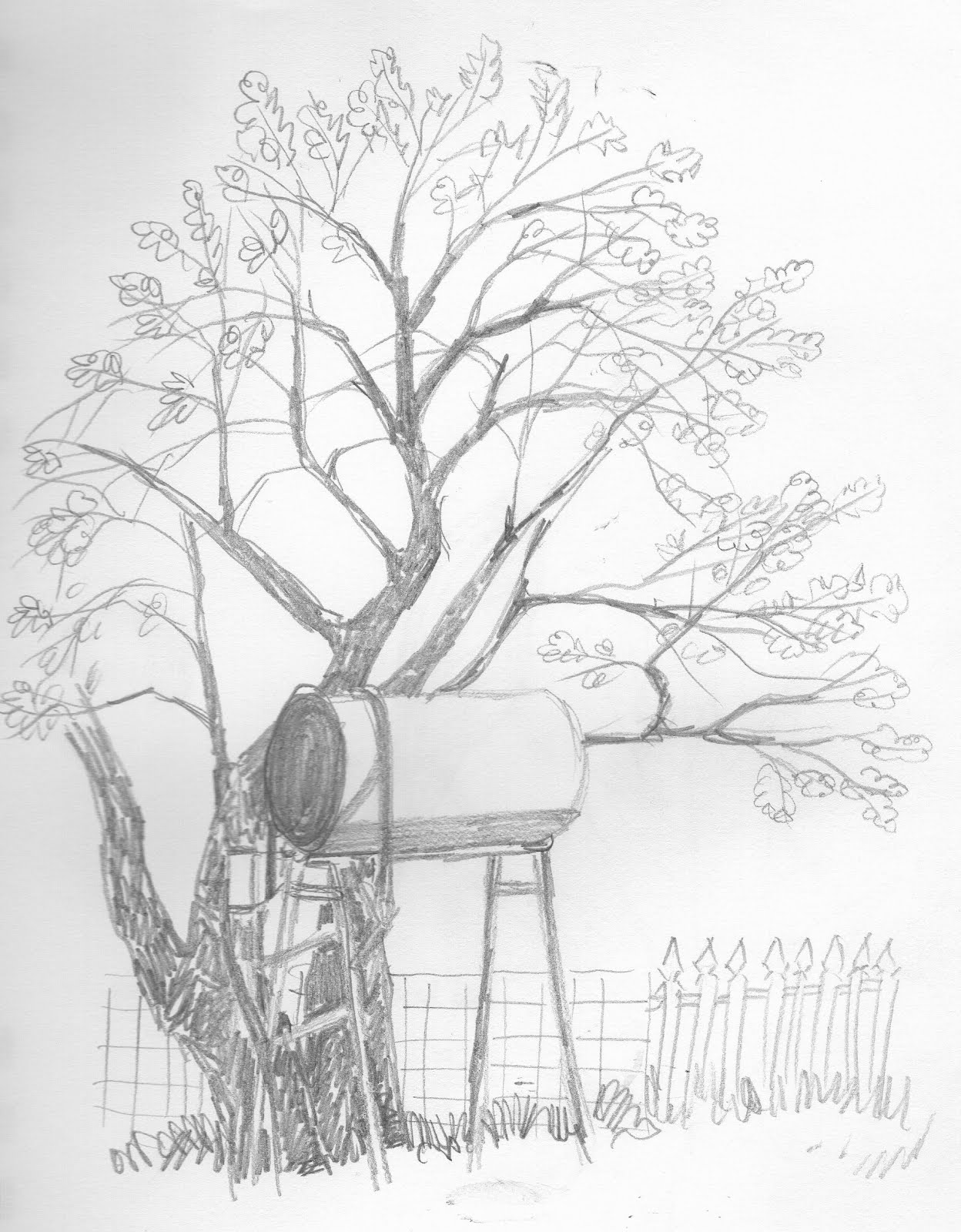 Dead Oak Tree Drawing at GetDrawings | Free download