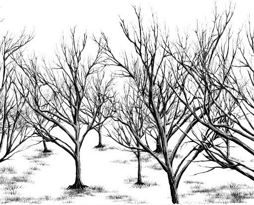 512x413 Dead Tree (Black With White) Brush Manga Materials