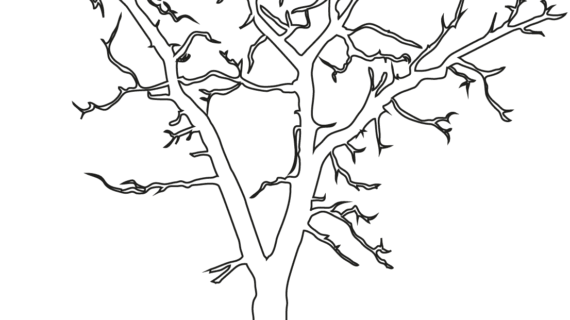 570x320 Outline Drawing Of A Tree Dead Tree Outline Coloring Page Free