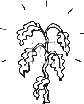 283x350 Plants Dying Clipart
