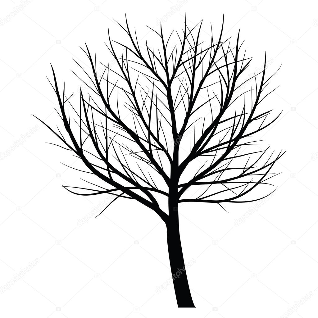 1024x1024 Trees With Dead Branch Stock Vector Kateen2528