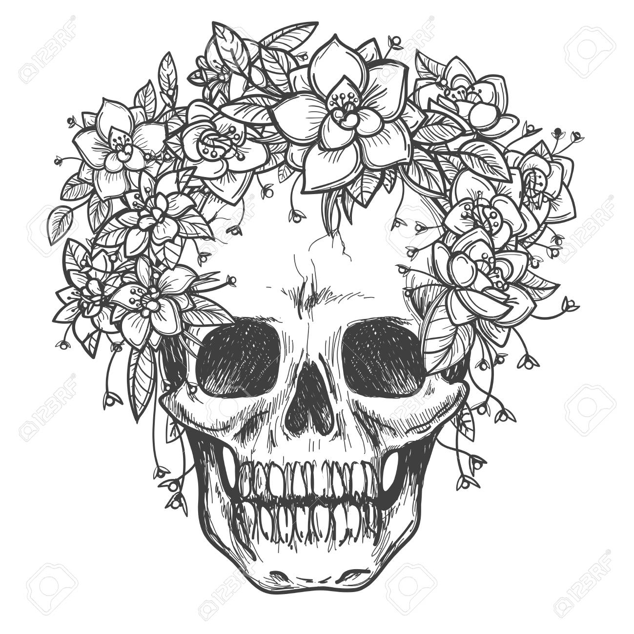 1299x1300 Vector Drawing Dead Skull With Rose Flowers Sketch Isolated