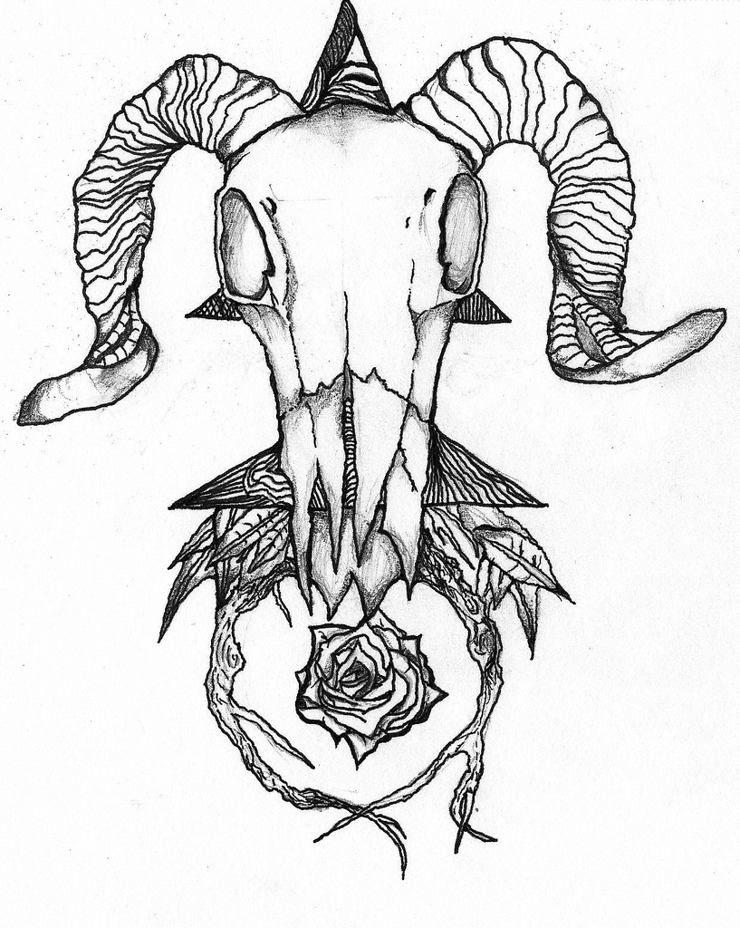 817x1024 The World's Newest Photos Of Death And Stippling