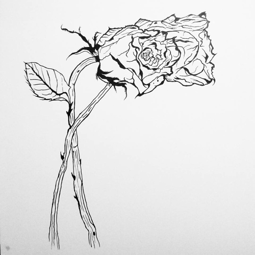 Dead Rose Drawing at GetDrawings | Free download