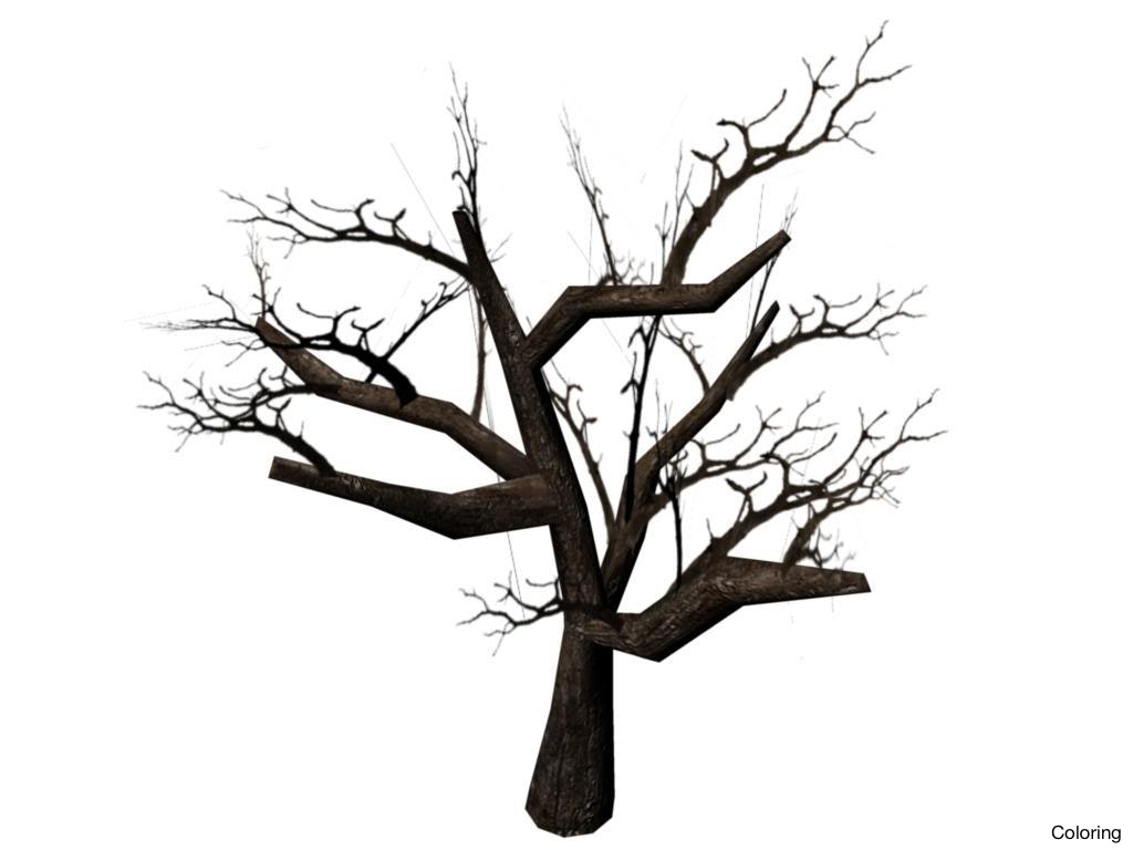 1024x768 Dead Tree Drawing Trees Drawings Clipart Best How To Draw
