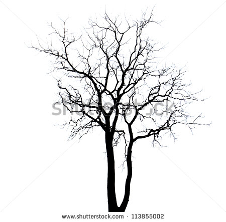 450x443 Drawn Dead Tree Dry Tree