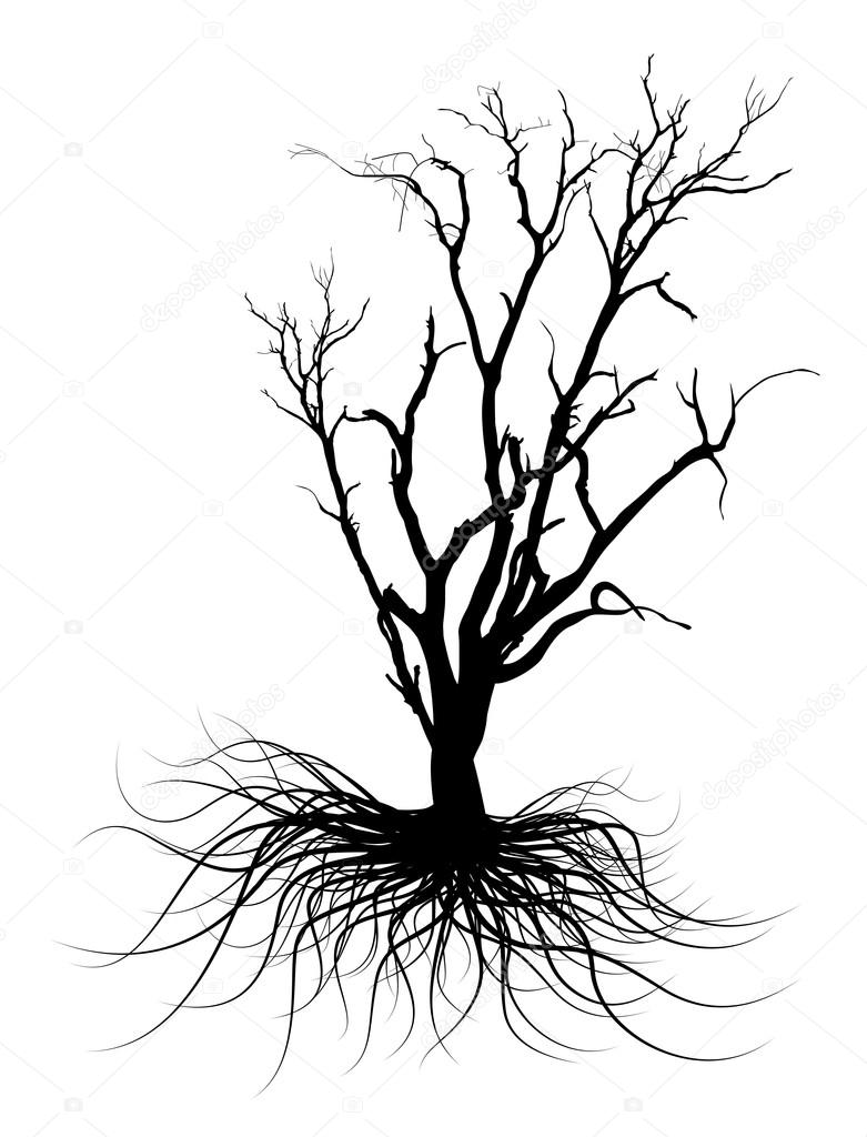 Dead Tree Drawing at GetDrawings | Free download