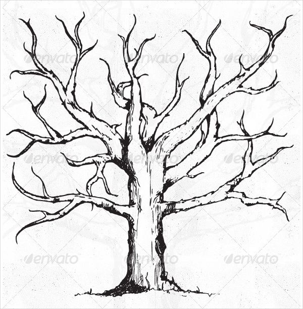 600x610 Tree Vectors