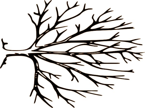 600x448 Dead Tree Live Tree Dead Clipart Clipartfest