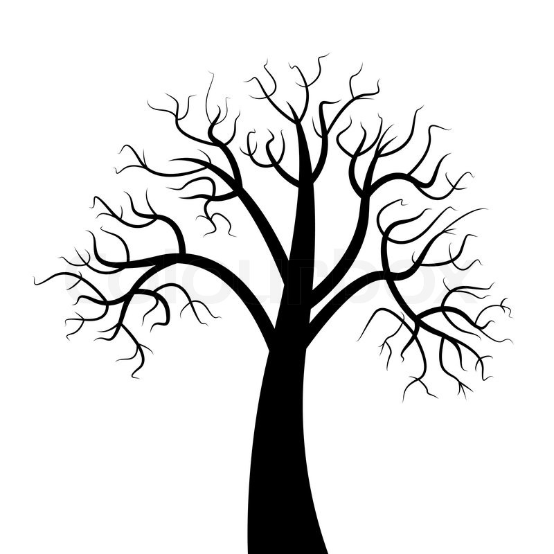 800x800 Dead Trees Have Branches. On A White Background. A Vector