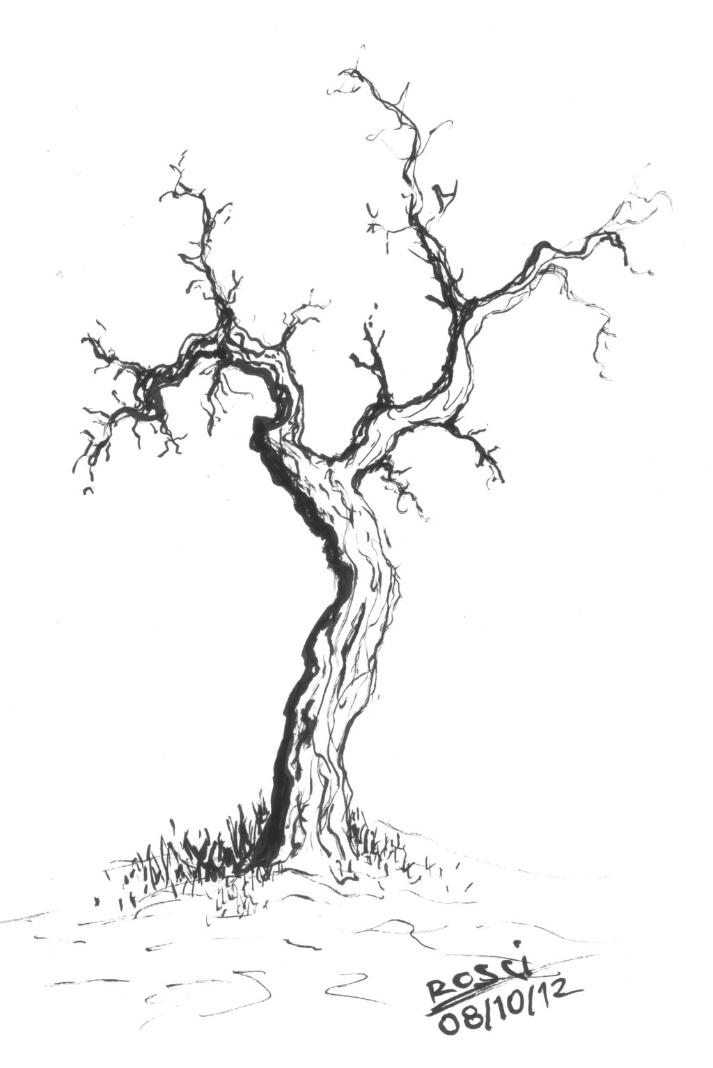 1024x1534 Drawing Of A Dead Tree