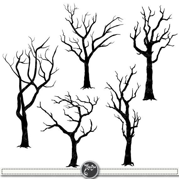 570x570 Drawn Dead Tree Black And White