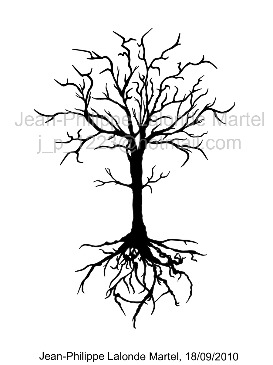 900x1200 Google Image Result