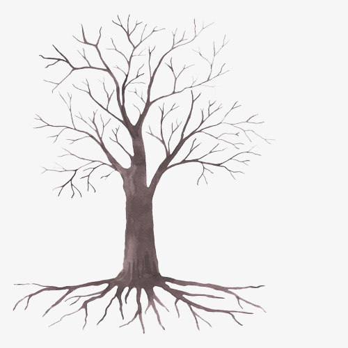 500x500 Hand Drawn Dead Tree, Trees, Withered, Branches Png Image