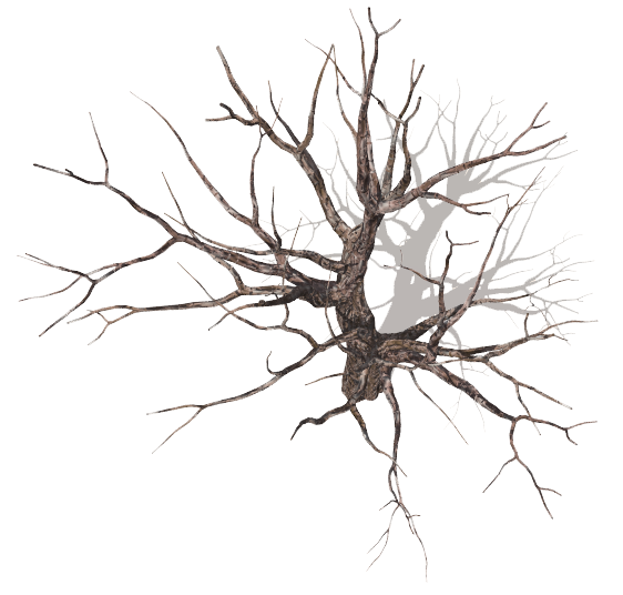 562x536 Index Of Mappingterrainplantstreesdead