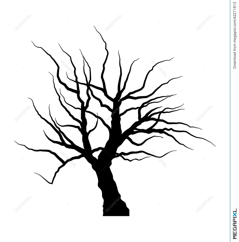 790x800 Sketch Of Dead Tree Without Leaves , Isolated On W Illustration