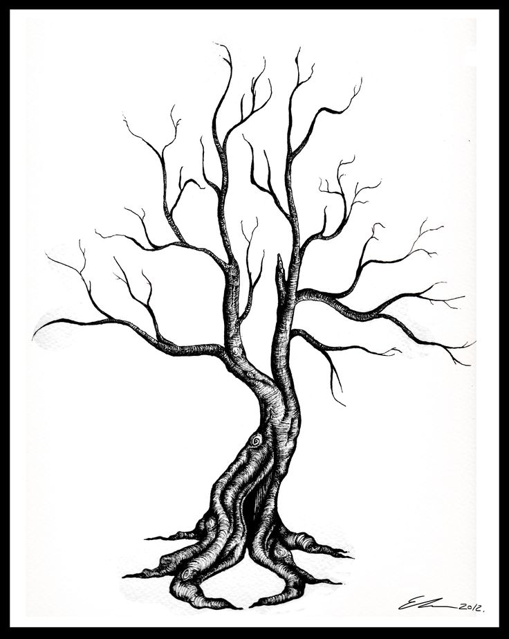 736x923 37 Best Tree Tattoo Outlines Images On Tree Tattoos