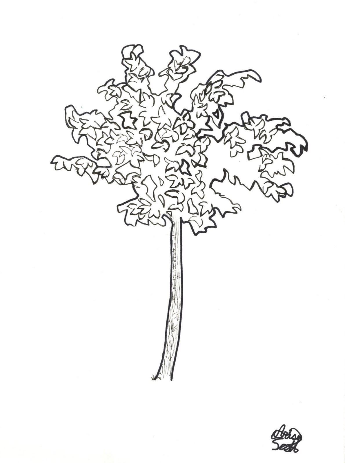 1190x1600 Arisa Arting Drawing Trees On Dead Tree
