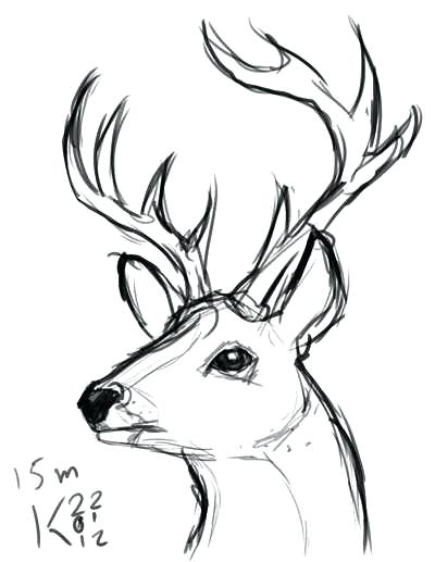 400x517 Deer Head Coloring Pages Deer Coloring Pages For Adults Vector