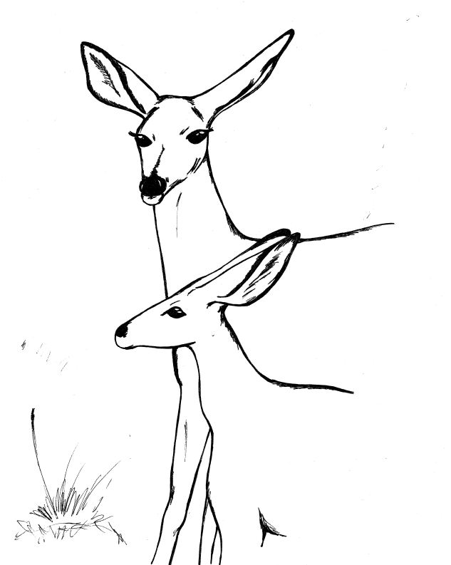 633x793 Mother's Day Drawings Standingoutinmyfield