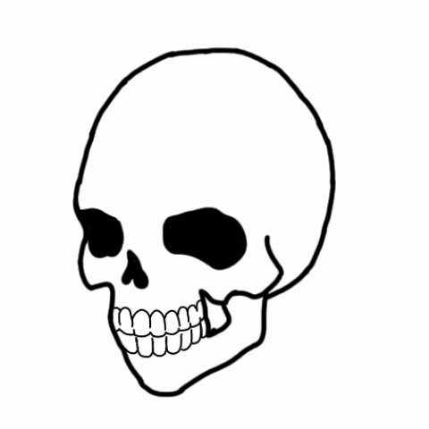 480x480 Death Amp Deathly Hallows Fanart Digital Drawing Harry