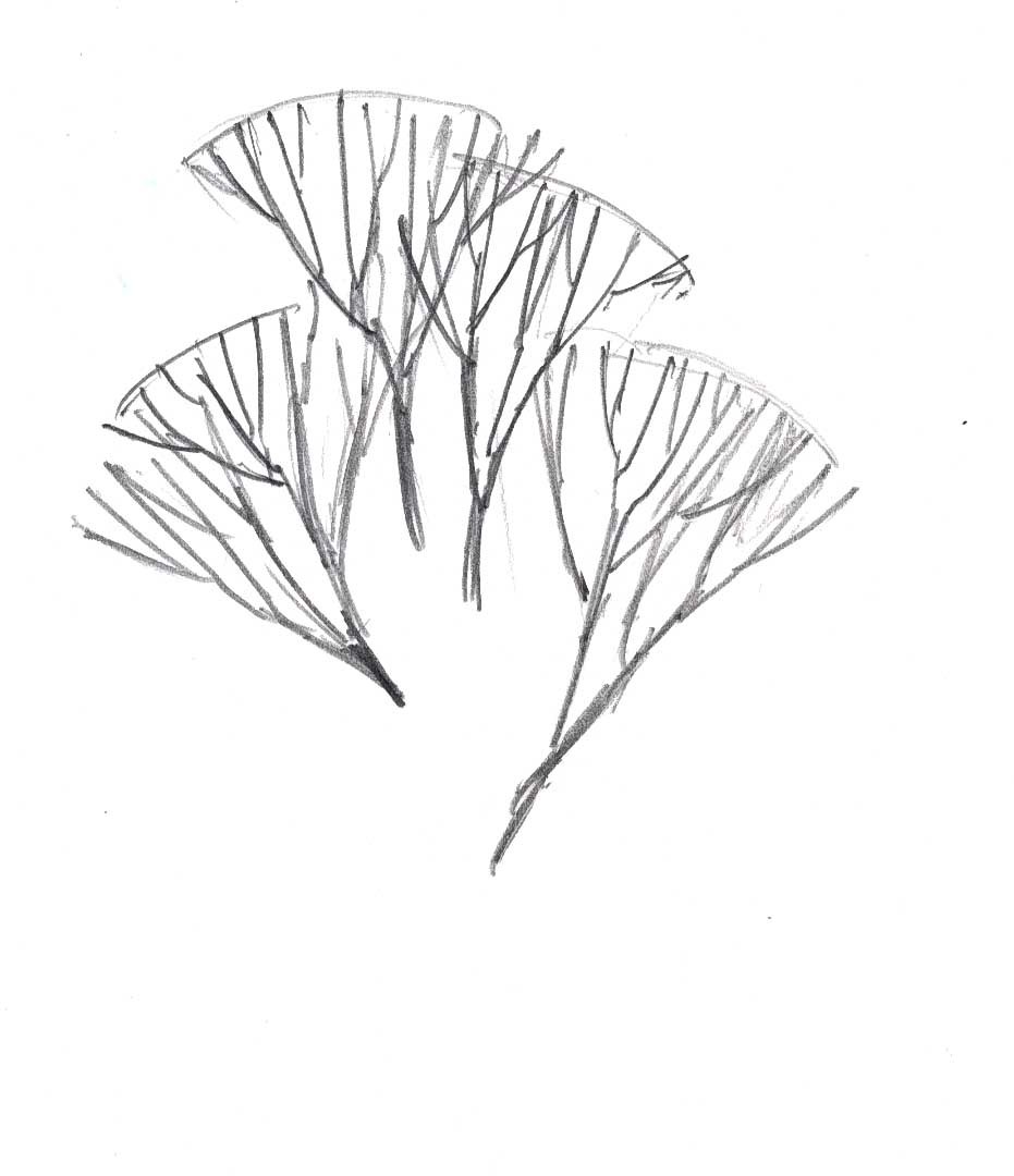 931x1080 How To Draw Trees In Winter
