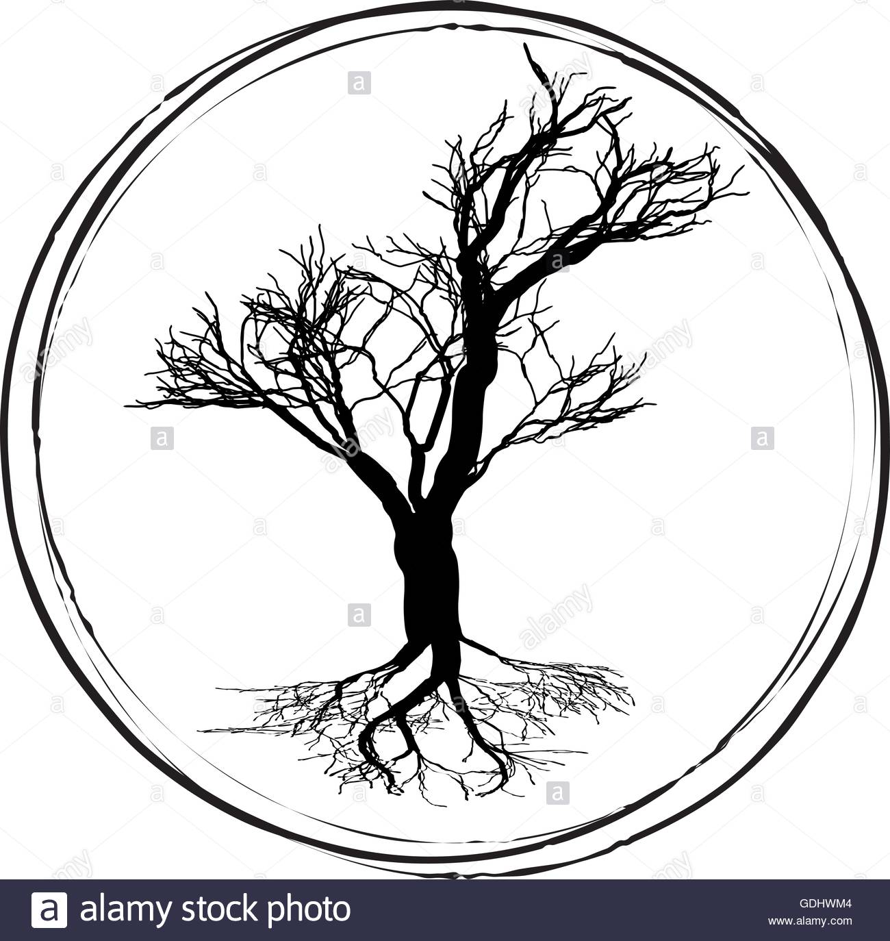 1300x1374 Blacknd White Drawing Of Deciduous Tree. Black Silhouette On