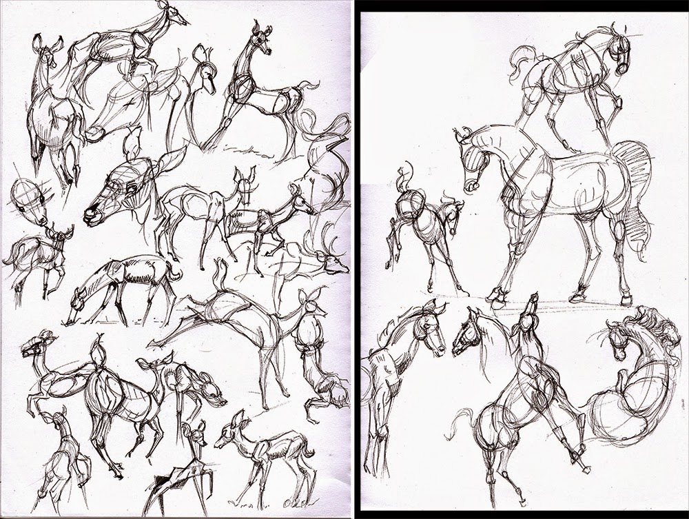 1000x753 Hamo's Art Blog Horse And Deer Anatomy Sketches
