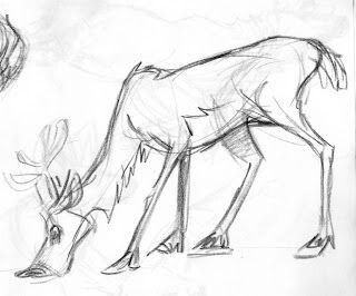 320x266 31 Best Rysowanie Jeleni Images On Deer, Animal