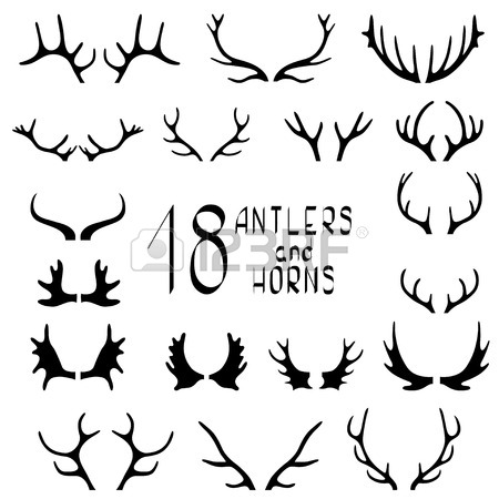 450x450 Deer Antlers Stock Photos. Royalty Free Business Images