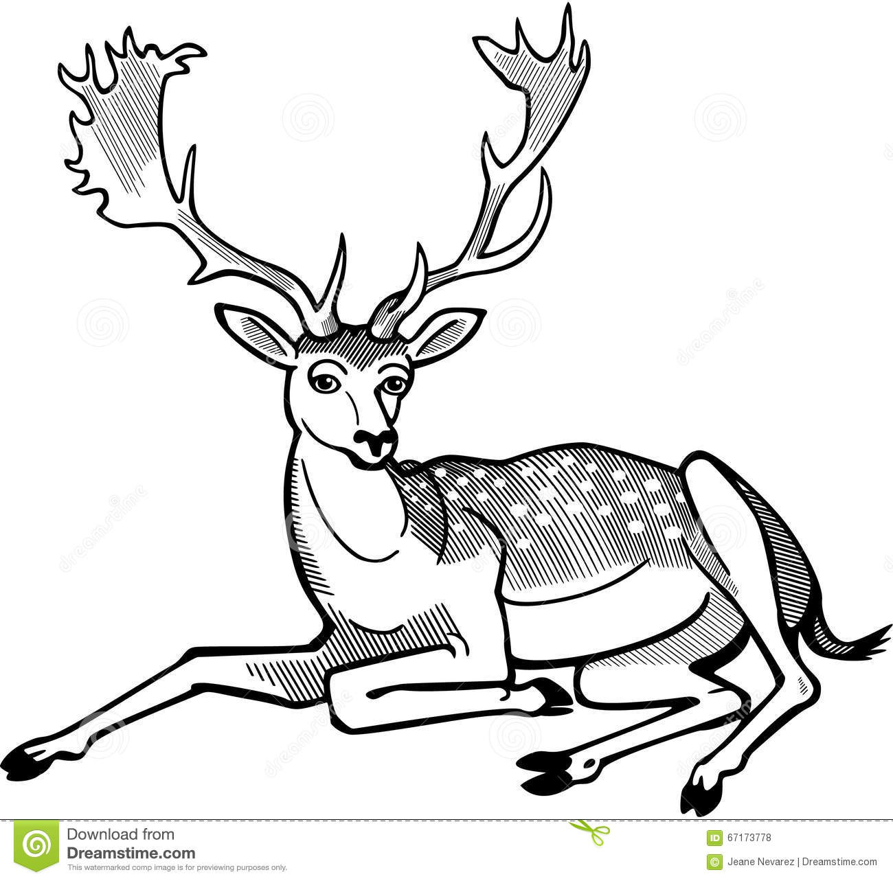1300x1283 Drawn Deer Male Deer
