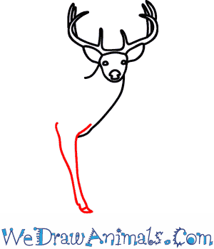 300x350 How To Draw A Buck Deer
