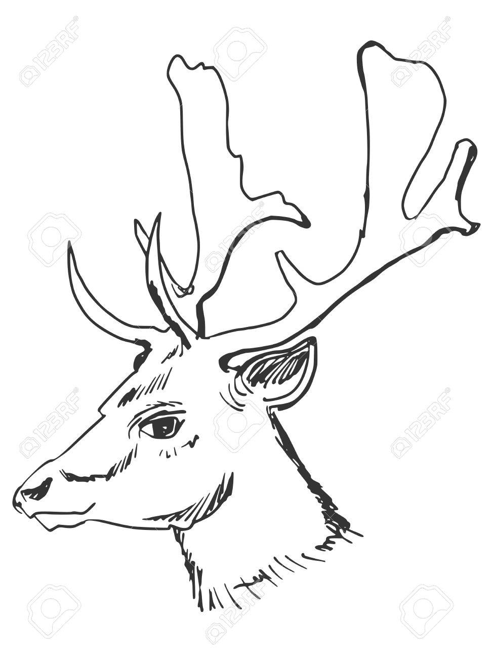 974x1300 Cartoon Hand Drawn Illustration Of Deer Royalty Free Cliparts