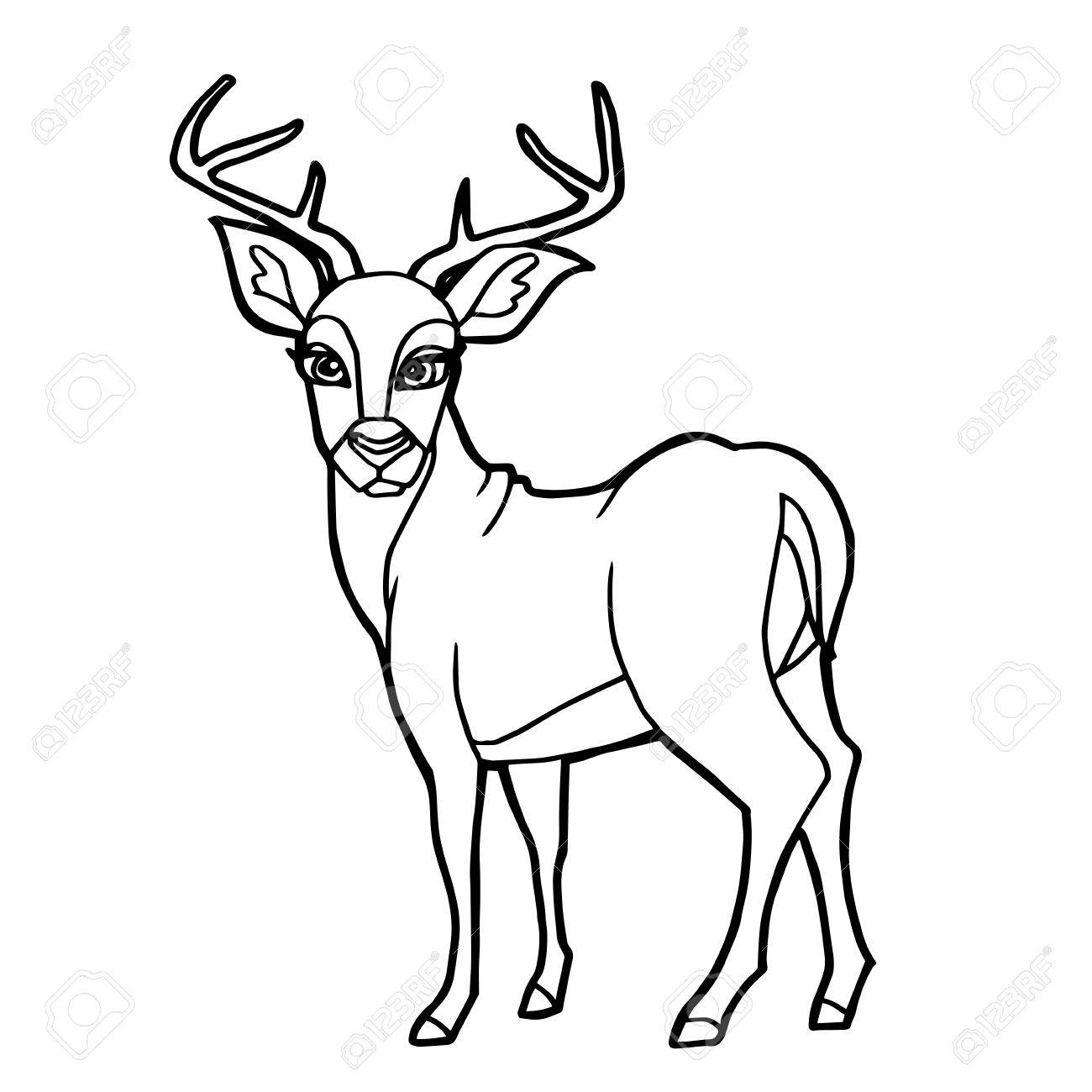 1300x1300 Cartoon Cute Deer Coloring Page Vector Illustration Royalty Free