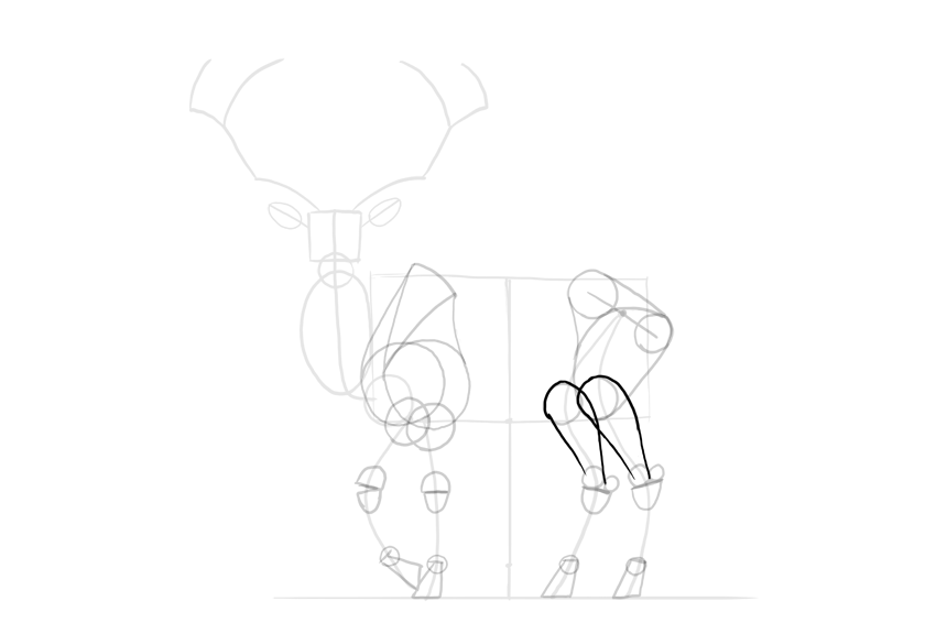 850x566 How To Draw A Deer Step By Step