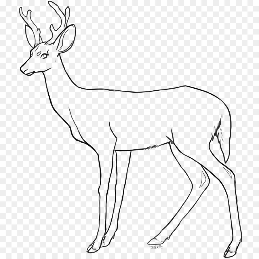 900x900 Red Deer Drawing Coloring Book Clip Art